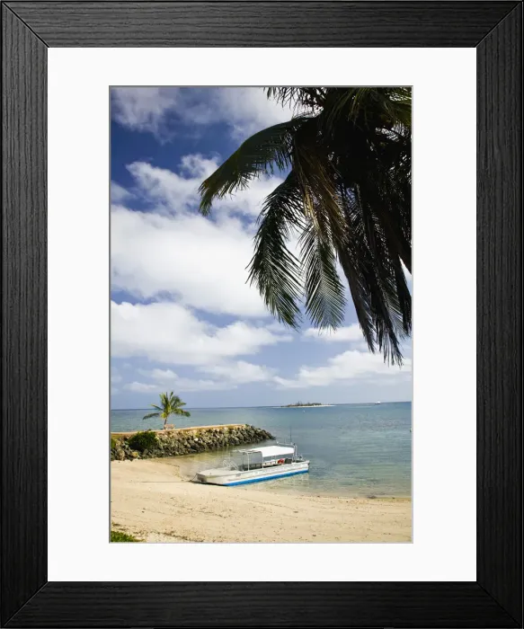 Framed Print : DDE-90037600