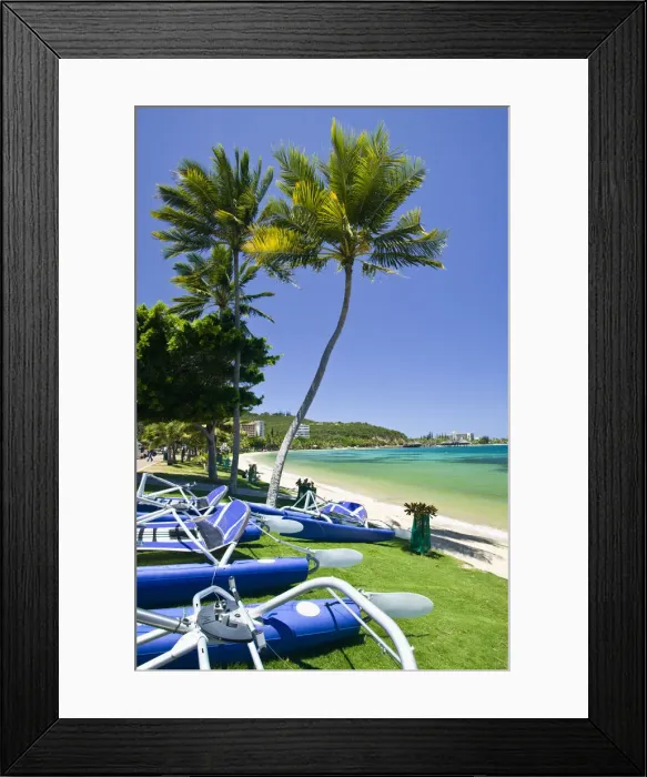 Framed Print : DDE-90037602