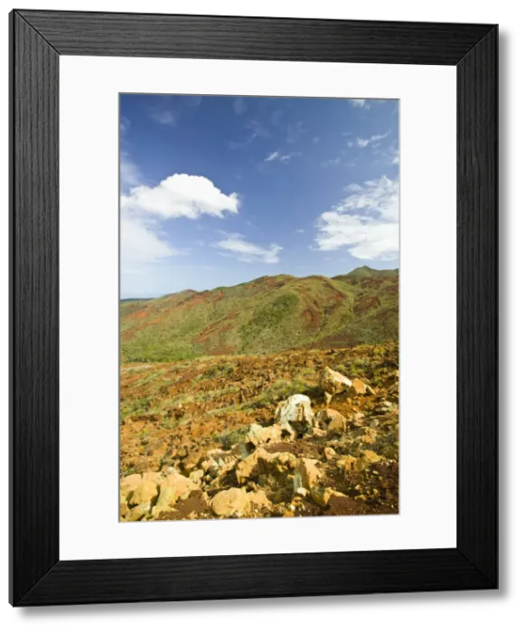 Framed Print : DDE-90037609