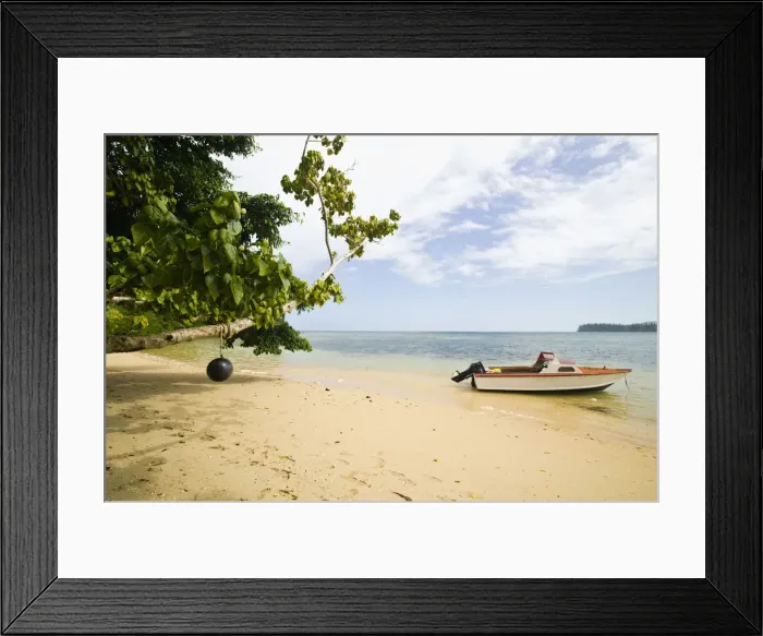 Framed Print : DDE-90037611 Framed Print : DDE-90037611