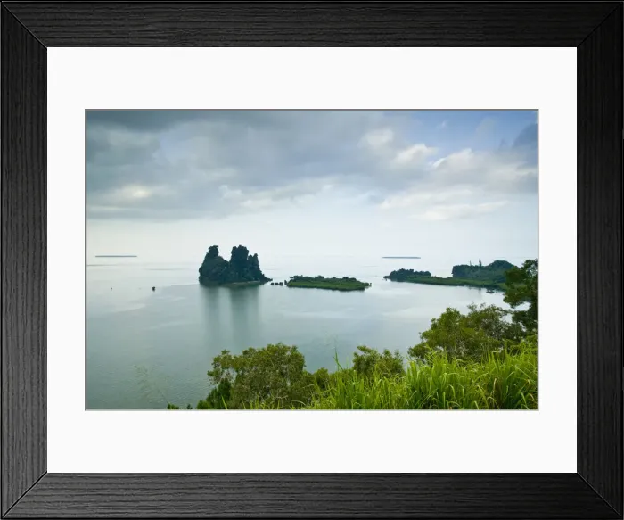 Framed Print : DDE-90037613