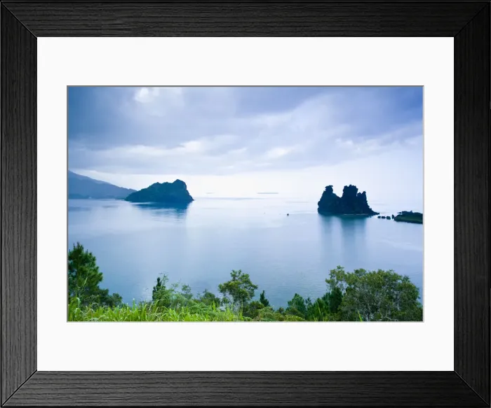 Framed Print : DDE-90037614 Framed Print : DDE-90037614