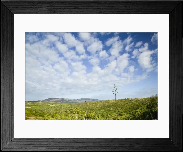 Framed Print : DDE-90037621 Framed Print : DDE-90037621