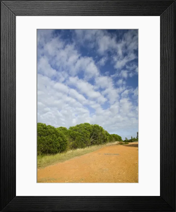 Framed Print : DDE-90037619 Framed Print : DDE-90037619
