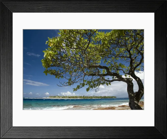 Framed Print : DDE-90037650 Framed Print : DDE-90037650