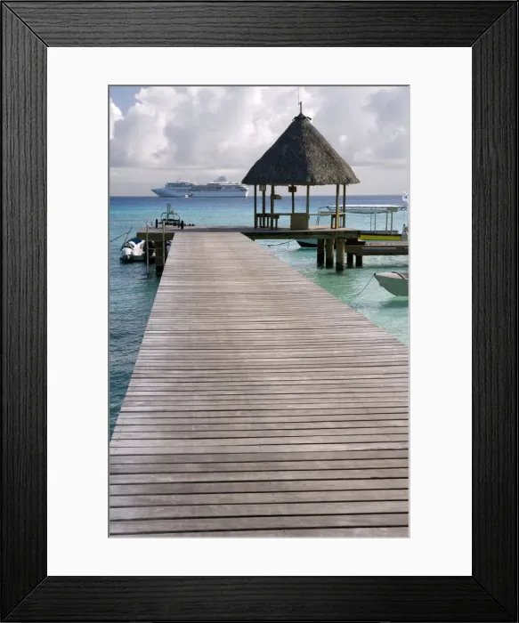 Framed Print : DDE-90037653 Framed Print : DDE-90037653