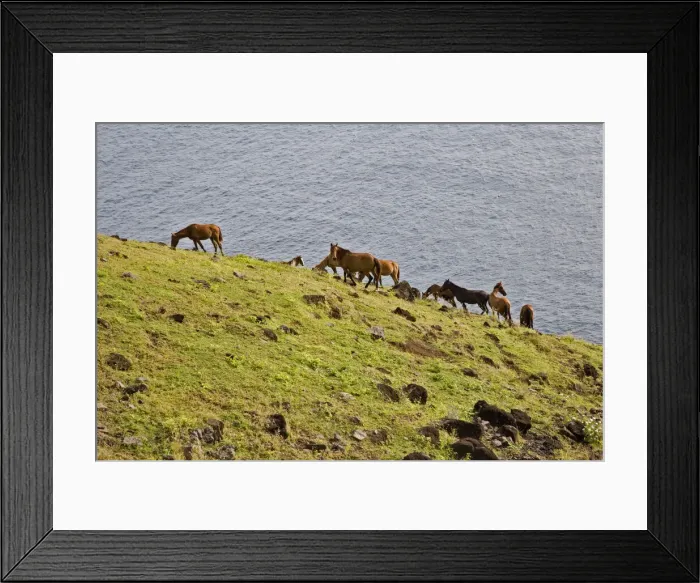Framed Print : DDE-90037657 Framed Print : DDE-90037657