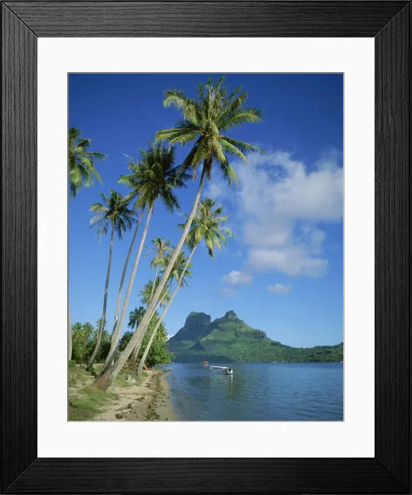 Framed Print : DDE-90037659 Framed Print : DDE-90037659
