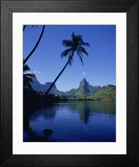 Framed Print : DDE-90037663 Framed Print : DDE-90037663