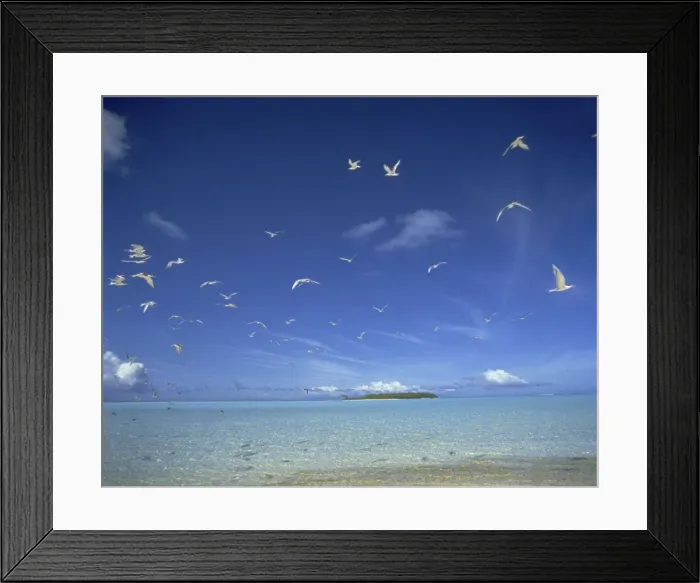 Framed Print : DDE-90037669 Framed Print : DDE-90037669