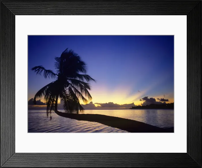 Framed Print : DDE-90037692