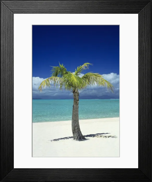 Framed Print : DDE-90037694 Framed Print : DDE-90037694