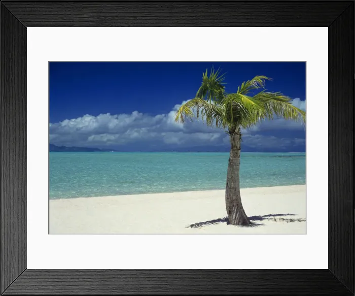 Framed Print : DDE-90037693
