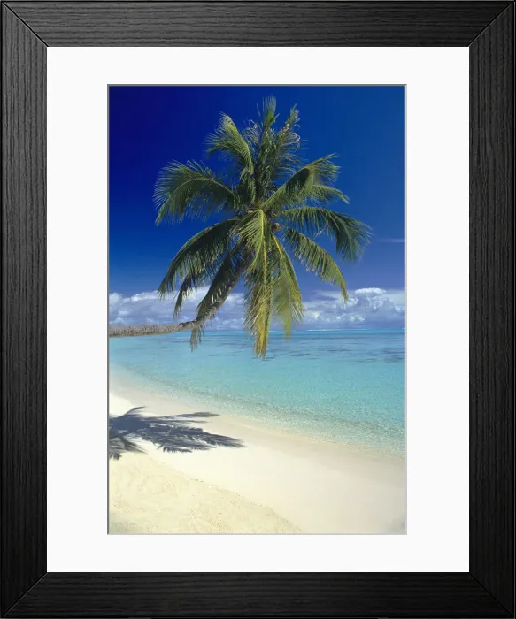 Framed Print : DDE-90037695 Framed Print : DDE-90037695
