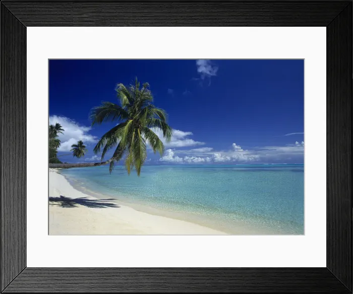 Framed Print : DDE-90037696 Framed Print : DDE-90037696