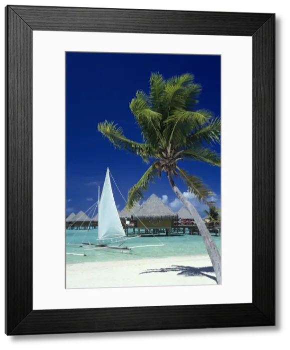 Framed Print : DDE-90037701 Framed Print : DDE-90037701