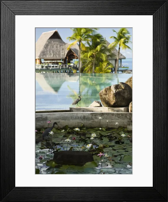 Framed Print : DDE-90037712 Framed Print : DDE-90037712