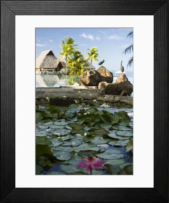 Framed Print : DDE-90037713