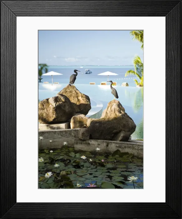 Framed Print : DDE-90037714 Framed Print : DDE-90037714