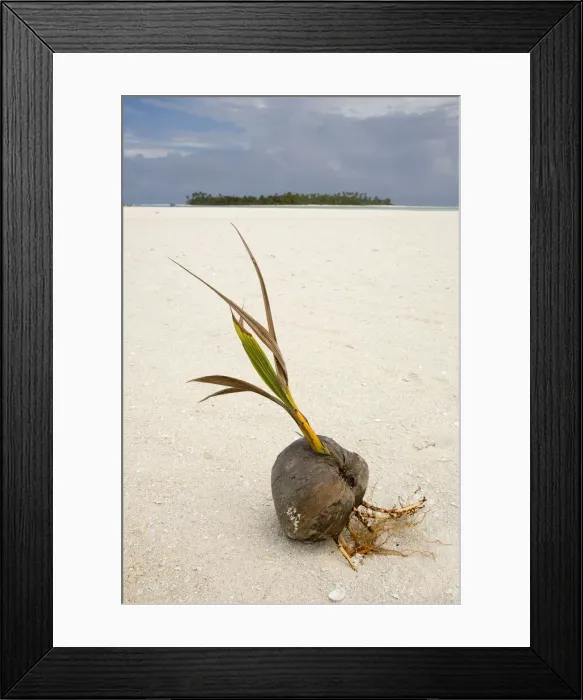 Framed Print : DDE-90037737 Framed Print : DDE-90037737