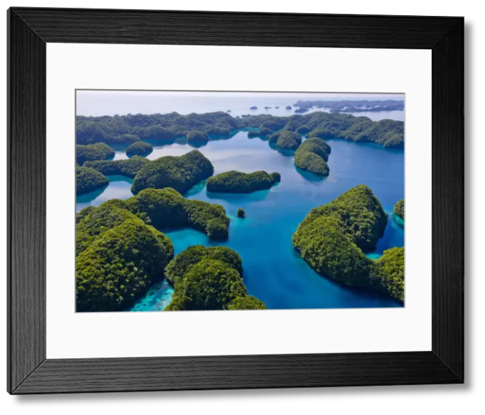 Framed Print : DDE-90037745 Framed Print : DDE-90037745