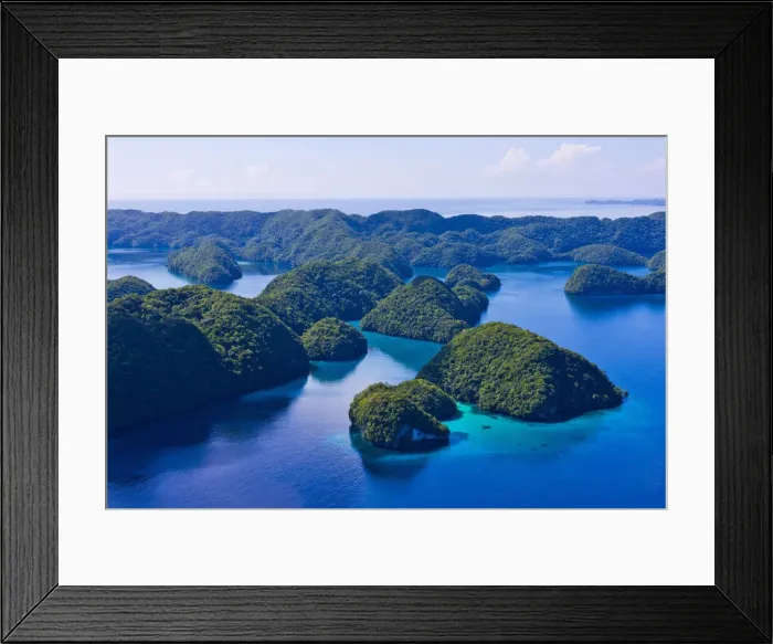 Framed Print : DDE-90037748 Framed Print : DDE-90037748