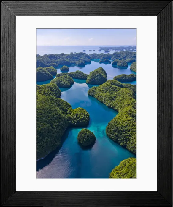 Framed Print : DDE-90037749 Framed Print : DDE-90037749
