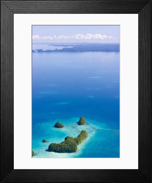 Framed Print : DDE-90037757