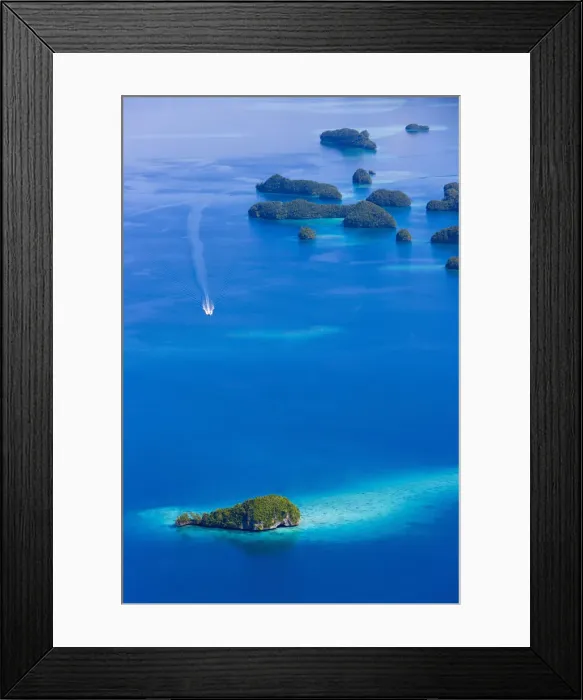 Framed Print : DDE-90037758