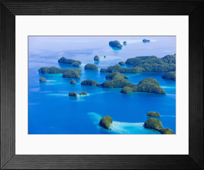 Framed Print : DDE-90037760 Framed Print : DDE-90037760