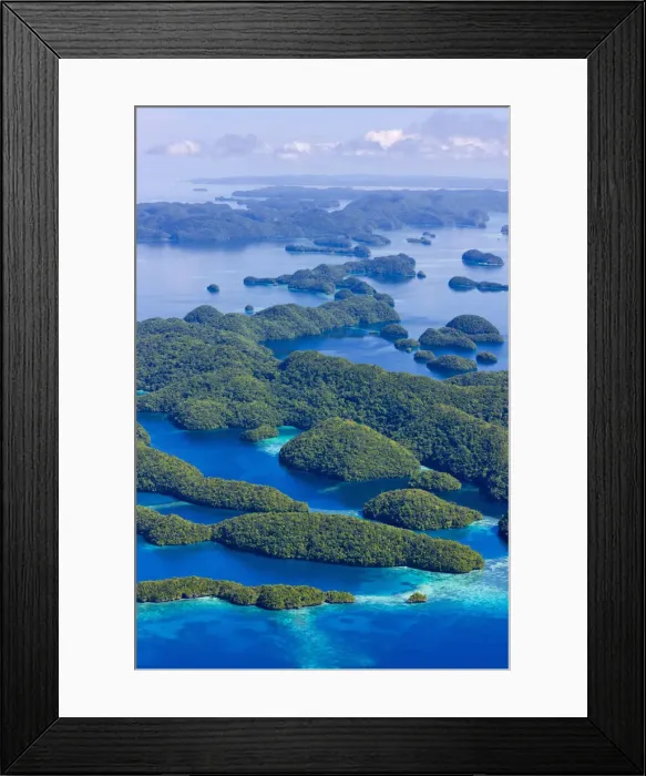 Framed Print : DDE-90037761 Framed Print : DDE-90037761