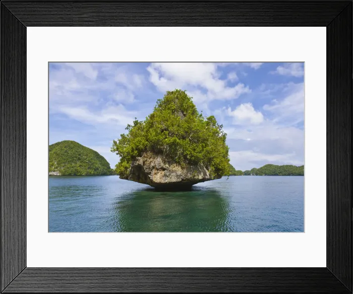 Framed Print : DDE-90037767 Framed Print : DDE-90037767
