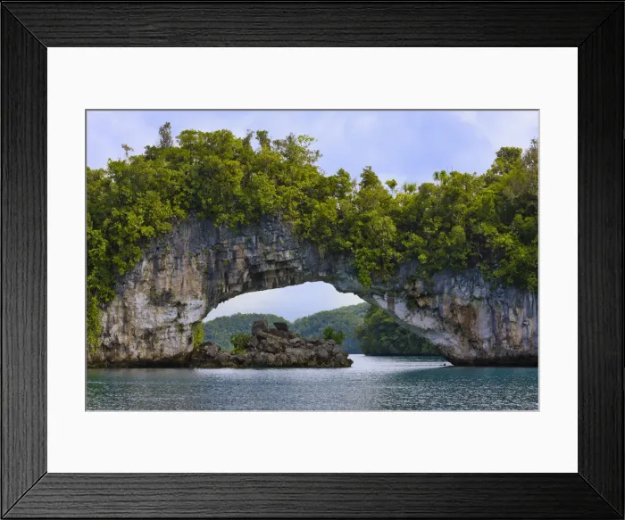 Framed Print : DDE-90037768 Framed Print : DDE-90037768