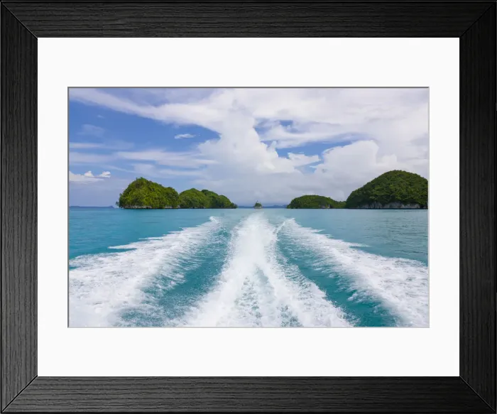 Framed Print : DDE-90037770 Framed Print : DDE-90037770