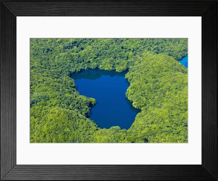 Framed Print : DDE-90037772 Framed Print : DDE-90037772