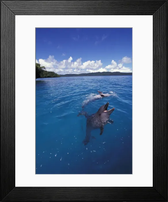 Framed Print : DDE-90037779 Framed Print : DDE-90037779