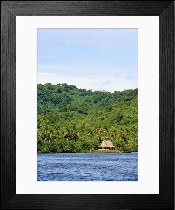 Framed Print : DDE-90037781 Framed Print : DDE-90037781