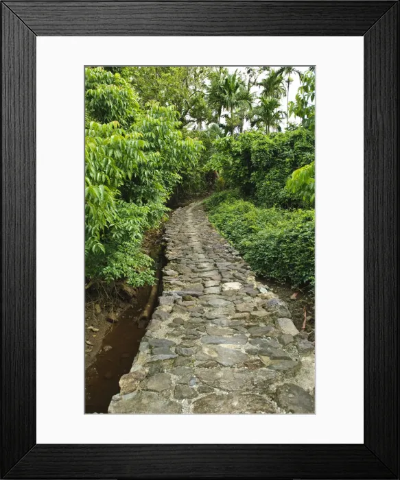 Framed Print : DDE-90037782 Framed Print : DDE-90037782