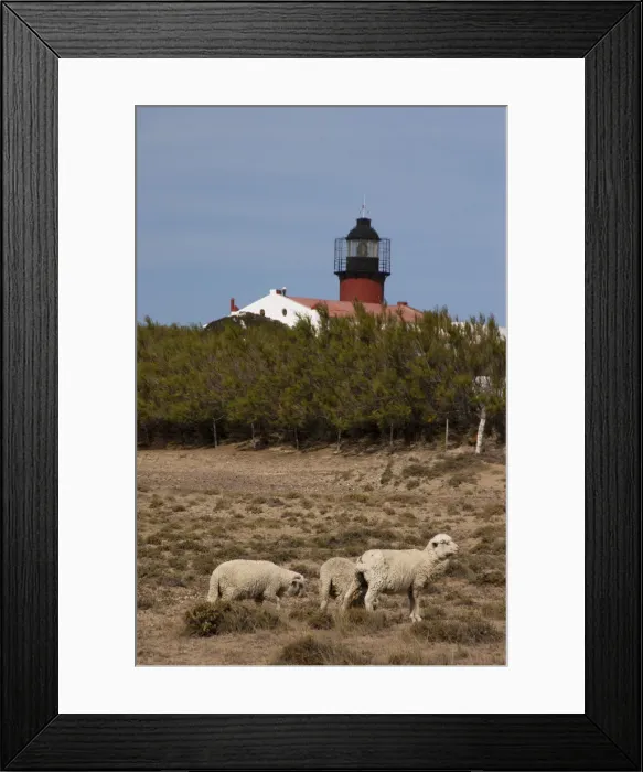 Framed Print : DDE-90037789