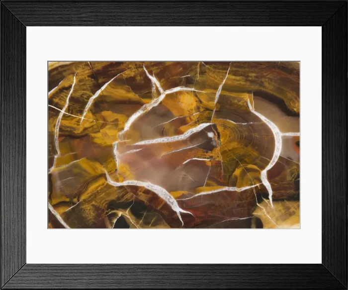 Framed Print : DDE-90037799