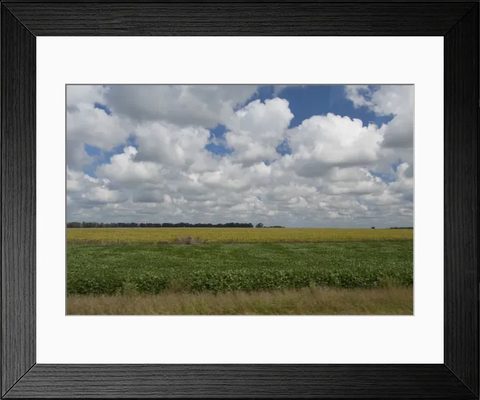 Framed Print : DDE-90037811
