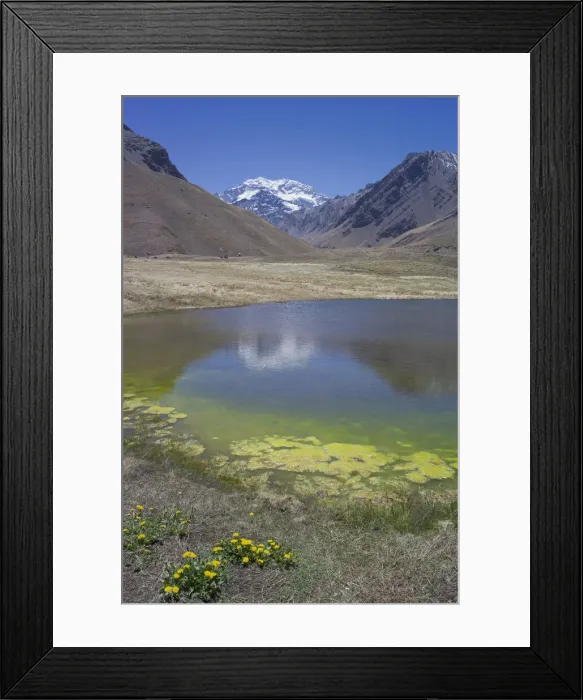 Framed Print : DDE-90037814 Framed Print : DDE-90037814