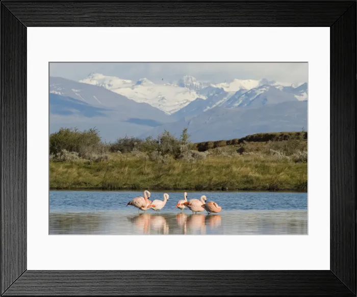 Framed Print : DDE-90037831 Framed Print : DDE-90037831