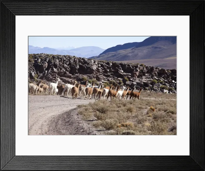 Framed Print : DDE-90037845 Framed Print : DDE-90037845