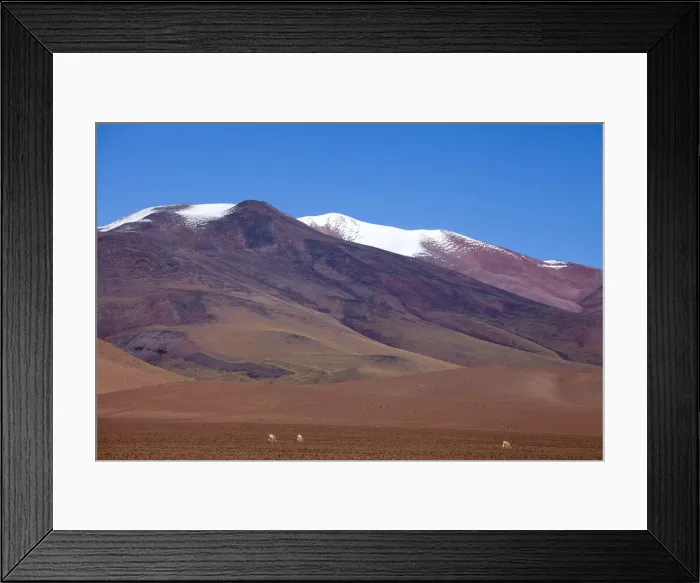 Framed Print : DDE-90037847 Framed Print : DDE-90037847