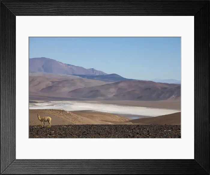 Framed Print : DDE-90037848 Framed Print : DDE-90037848