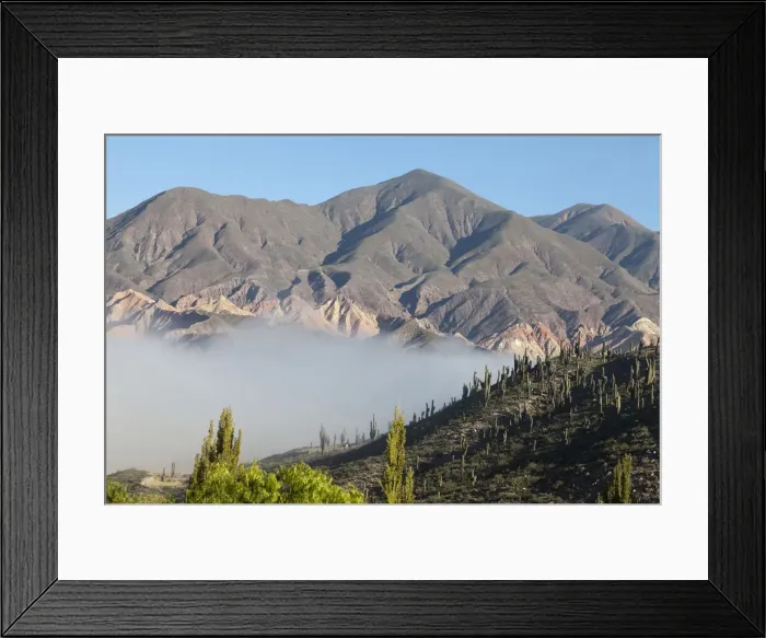 Framed Print : DDE-90037855 Framed Print : DDE-90037855