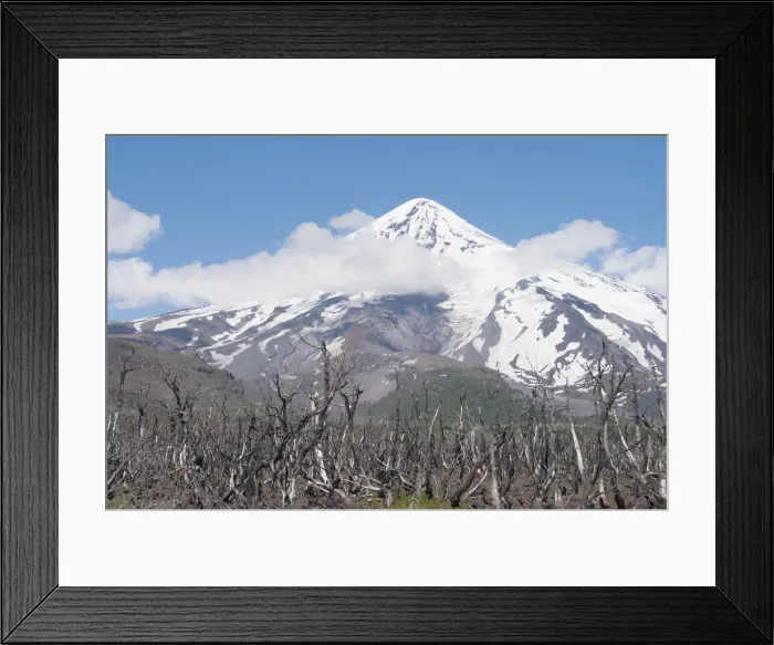 Framed Print : DDE-90037859 Framed Print : DDE-90037859