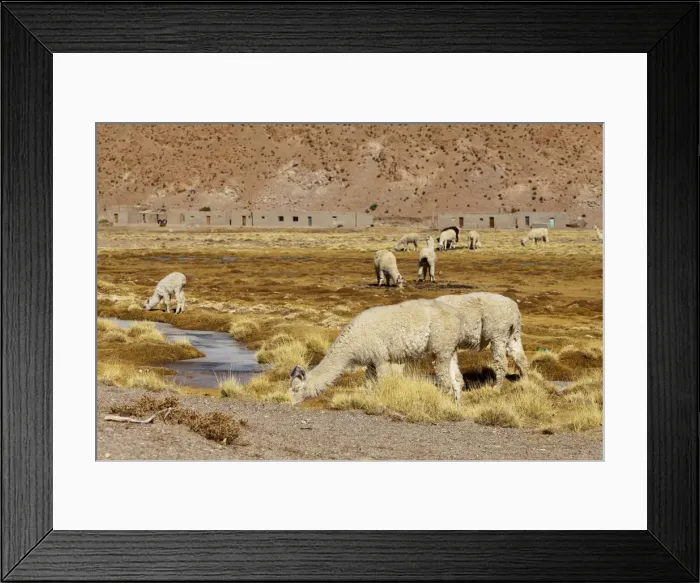 Framed Print : DDE-90037892 Framed Print : DDE-90037892