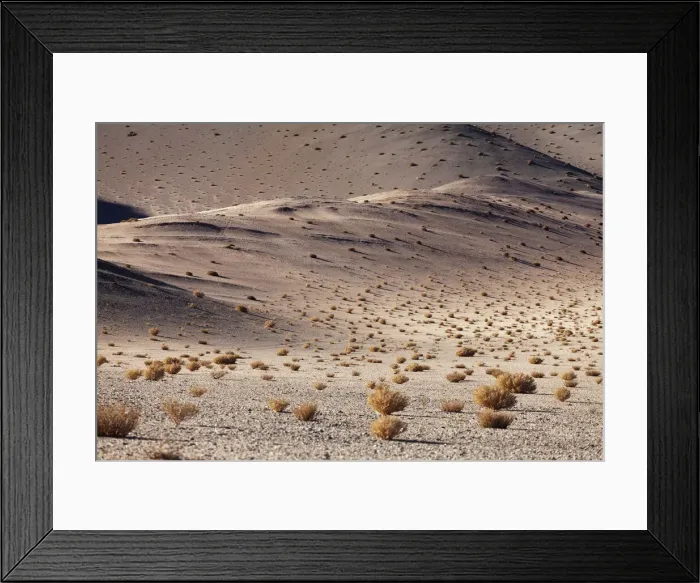 Framed Print : DDE-90037893 Framed Print : DDE-90037893